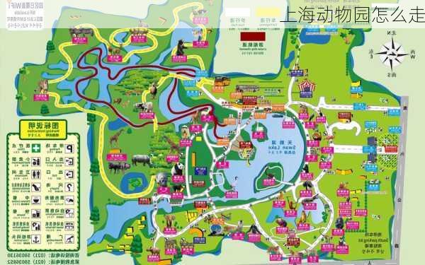 上海动物园怎么走